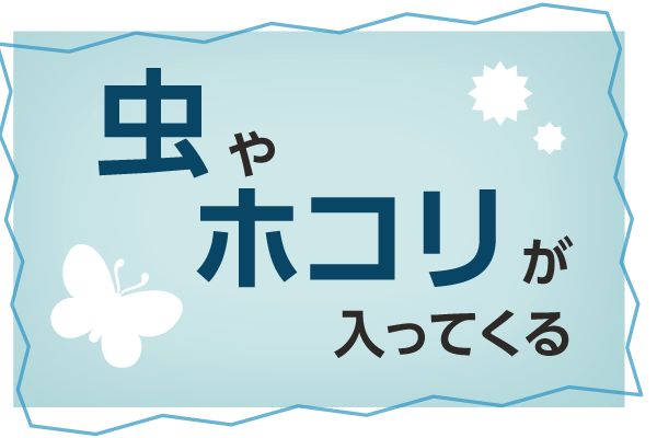 虫やホコリが入ってくる